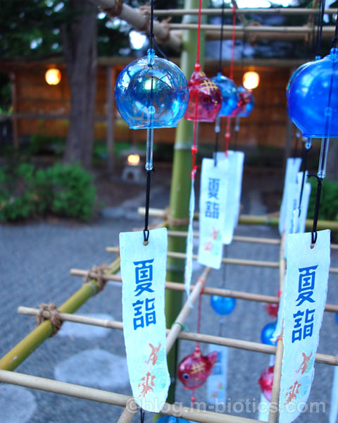 旭川神社　夏詣　風鈴