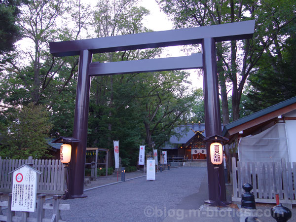 旭川神社　明け方参拝