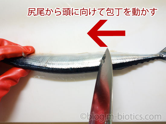 秋刀魚　さんま　ウロコを取る