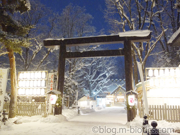 初詣　明け方　早朝参拝　旭川神社